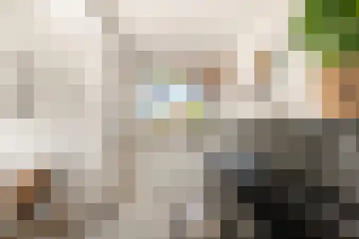 Rendorppark 42 Heemskerk thumbnail 15