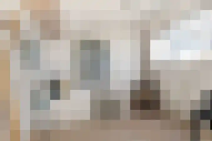 Rendorppark 42 Heemskerk thumbnail 30