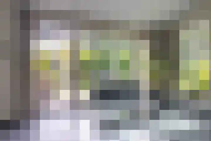 Rendorppark 7 Heemskerk thumbnail 11