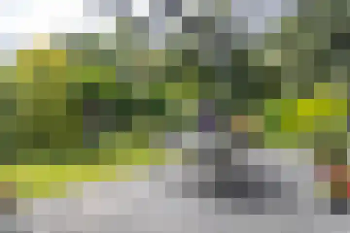 Rendorppark 7 Heemskerk thumbnail 12