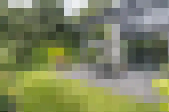 Rendorppark 7 Heemskerk thumbnail 13
