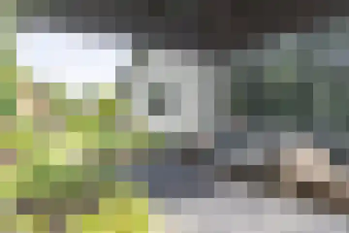 Rendorppark 7 Heemskerk thumbnail 15