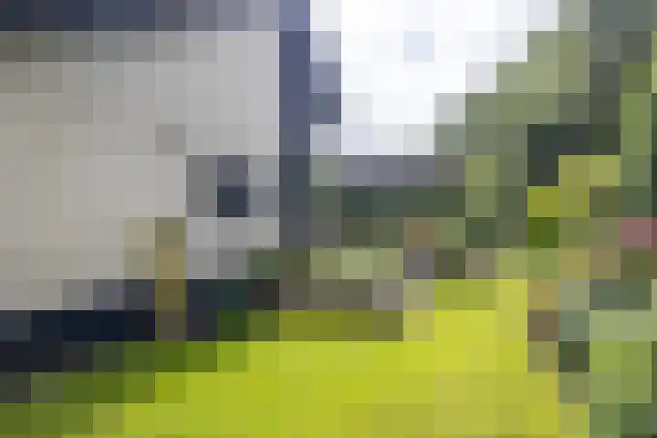 Rendorppark 7 Heemskerk thumbnail 16