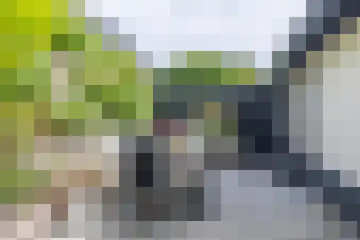 Rendorppark 7 Heemskerk thumbnail 17