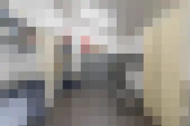 Rendorppark 7 Heemskerk thumbnail 29