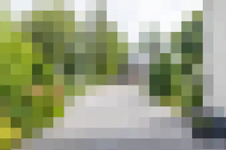 Rendorppark 7 Heemskerk thumbnail 33