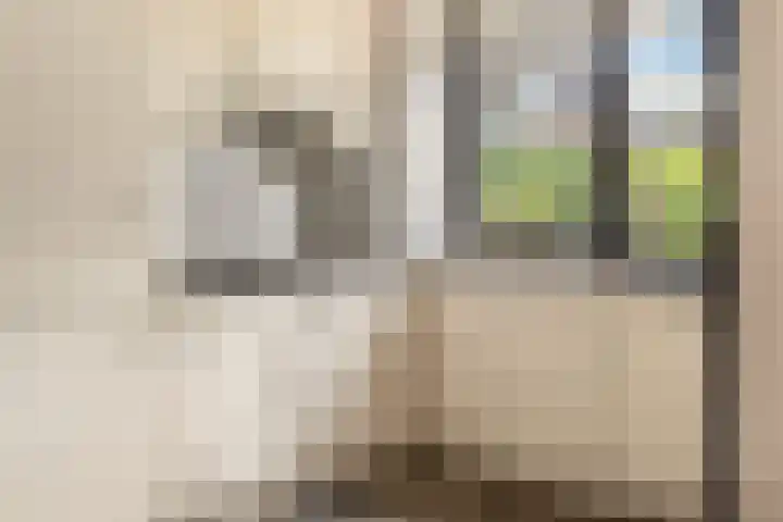 Rendorppark 80 Heemskerk thumbnail 11