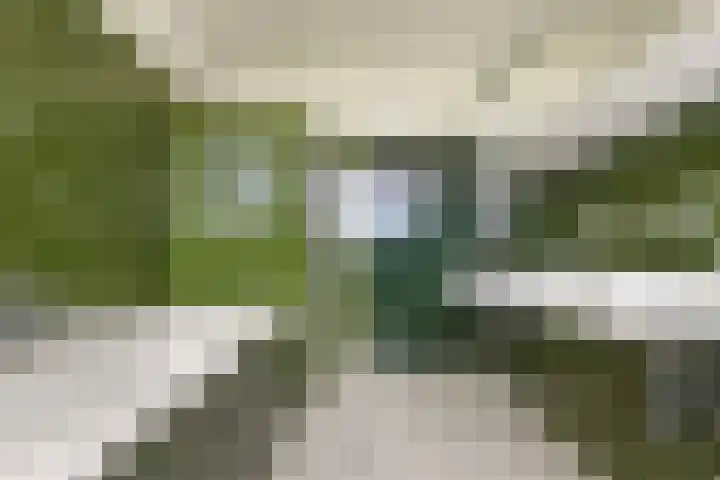 Rendorppark 80 Heemskerk thumbnail 24
