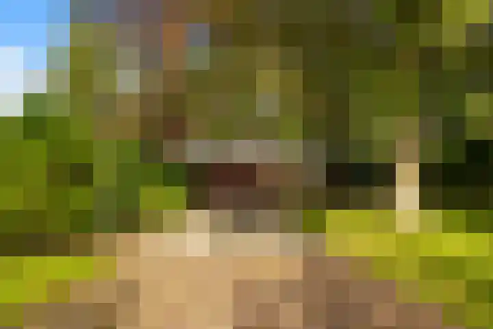 Rendorppark 80 Heemskerk thumbnail 29
