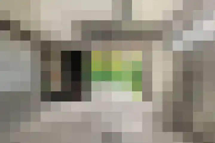 Rendorppark 80 Heemskerk thumbnail 30