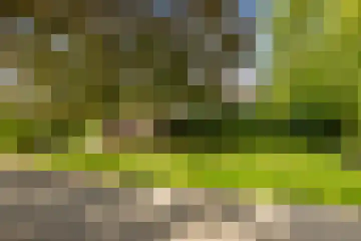 Rendorppark 80 Heemskerk thumbnail 31
