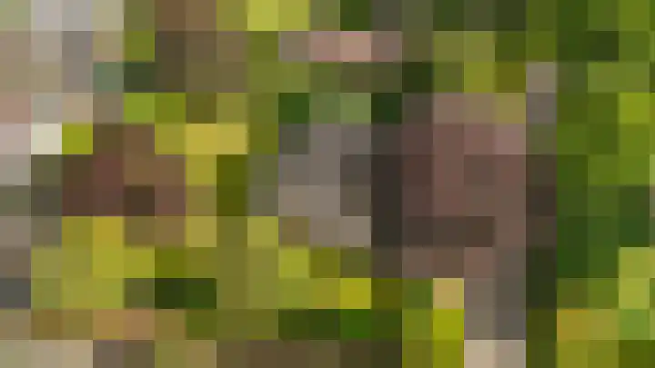 Rendorppark 80 Heemskerk thumbnail 32