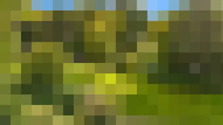 Rendorppark 80 Heemskerk thumbnail 33