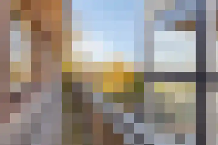 Photo of René Knippenberg