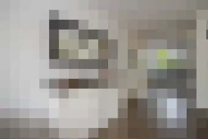 René Magrittestraat 14 Rotterdam thumbnail 11
