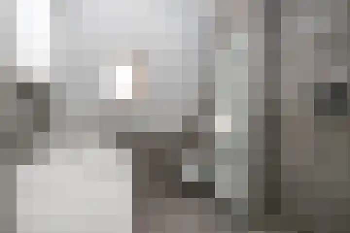 René Magrittestraat 14 Rotterdam thumbnail 17
