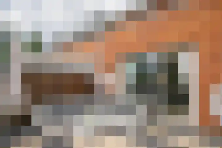 René Magrittestraat 14 Rotterdam thumbnail 27