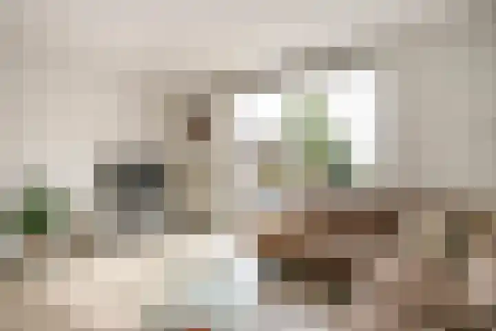 René Magrittestraat 14 Rotterdam thumbnail 9