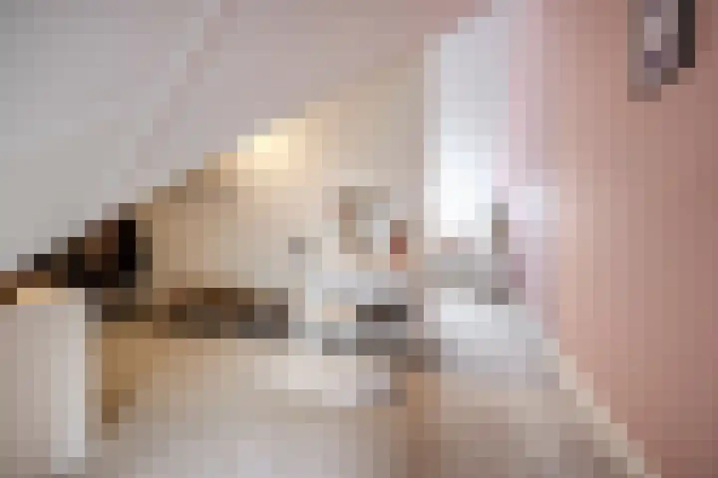 René Smeetsstraat 17 Valkenswaard thumbnail 32