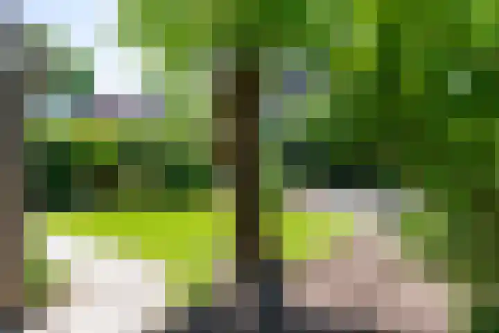 René van Oranjestraat 5 Sittard thumbnail 8