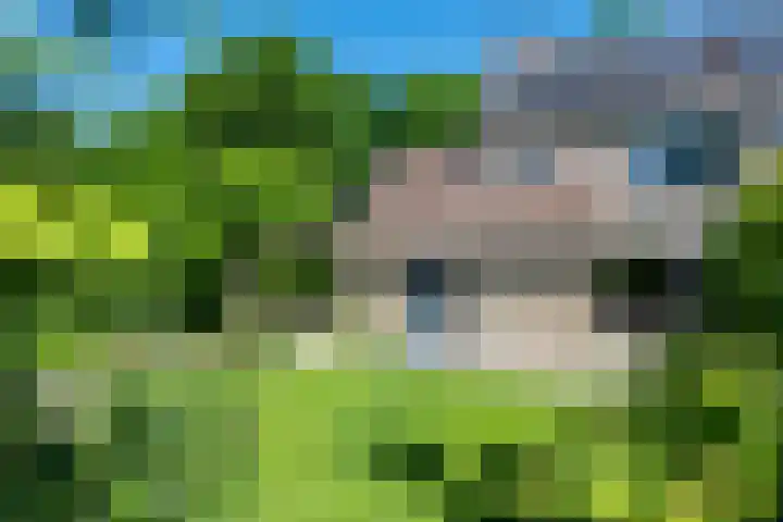 René van Oranjestraat 5 Sittard thumbnail 9