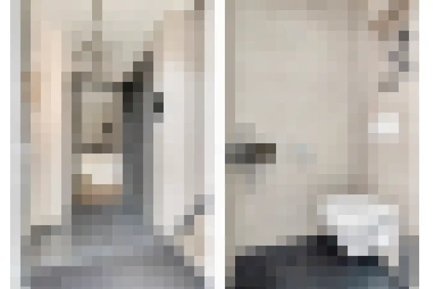 Renes 125 Scherpenzeel thumbnail 14