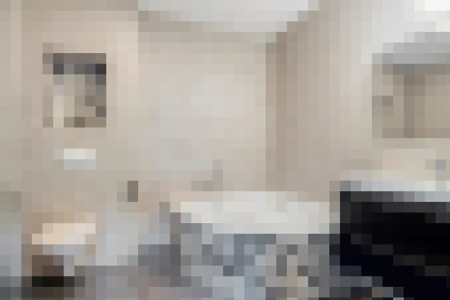 Renes 125 Scherpenzeel thumbnail 15
