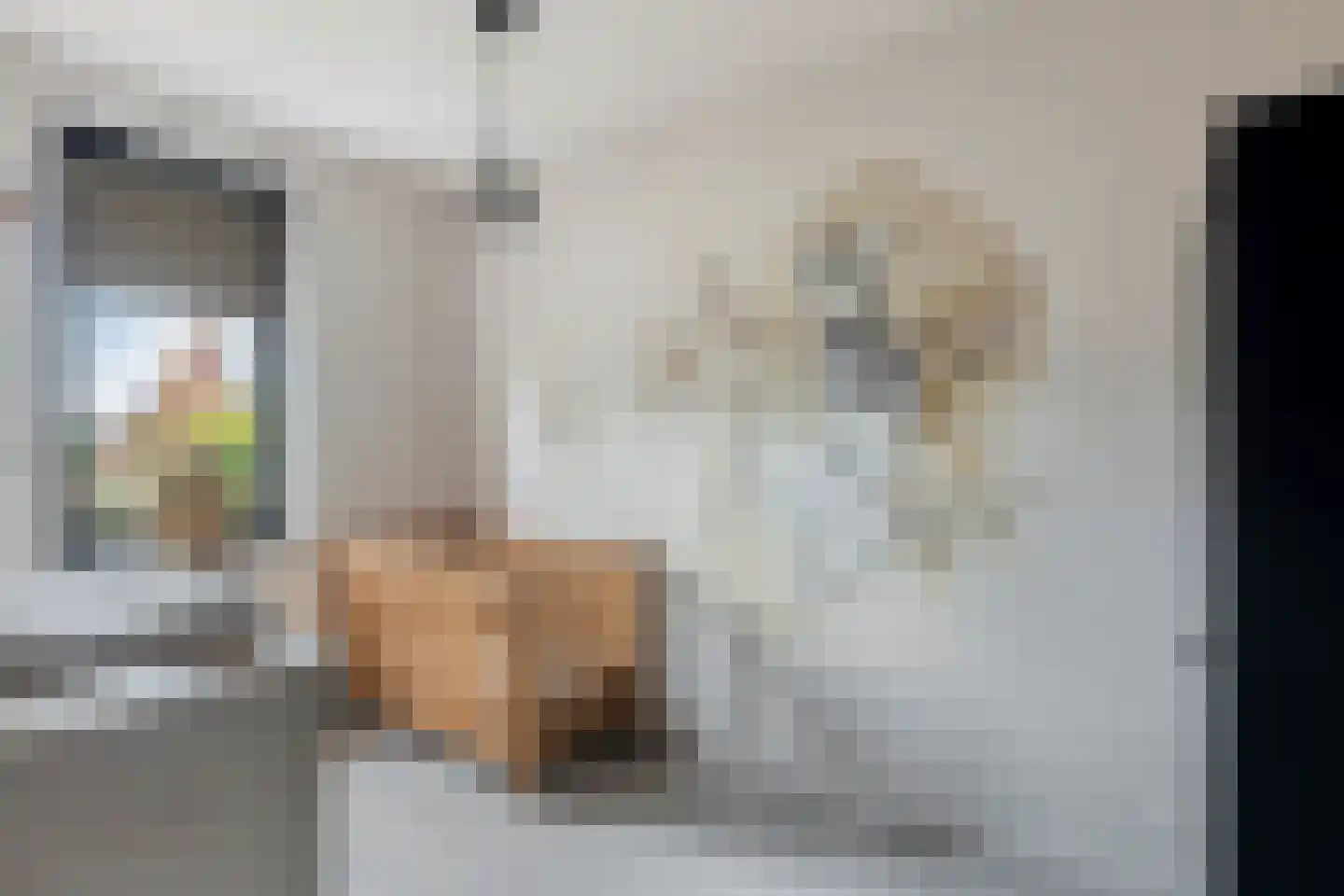 Renes 125 Scherpenzeel thumbnail 20