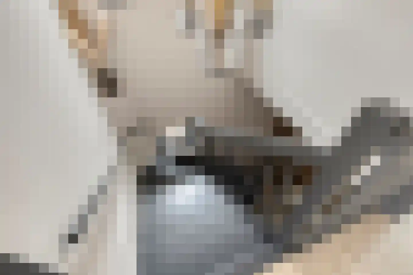 Renes 125 Scherpenzeel thumbnail 25