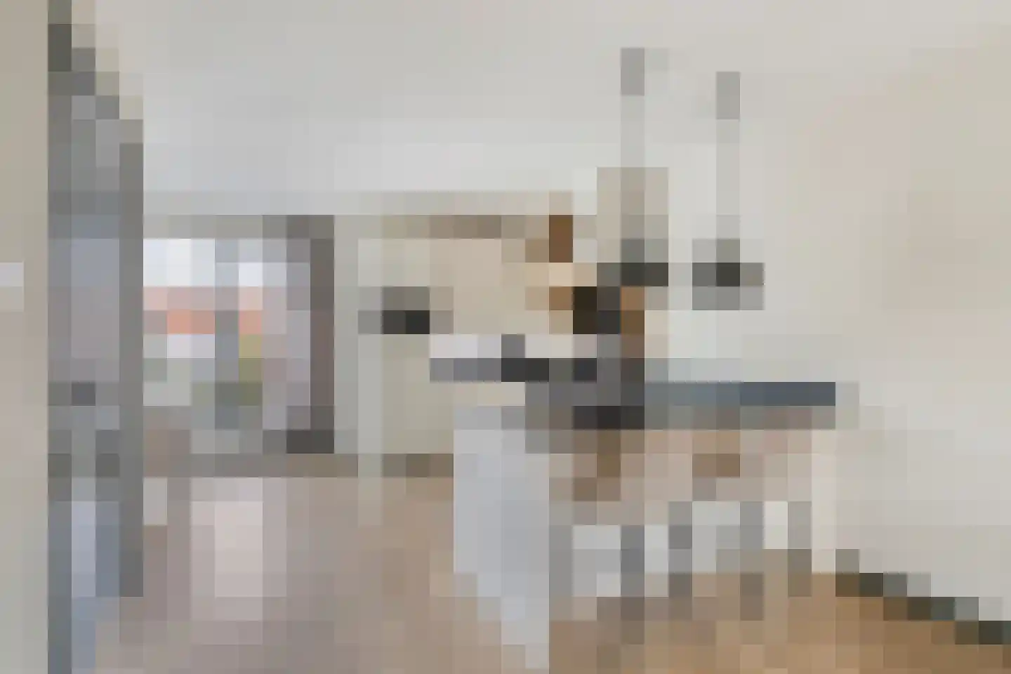 Renes 125 Scherpenzeel foto 3