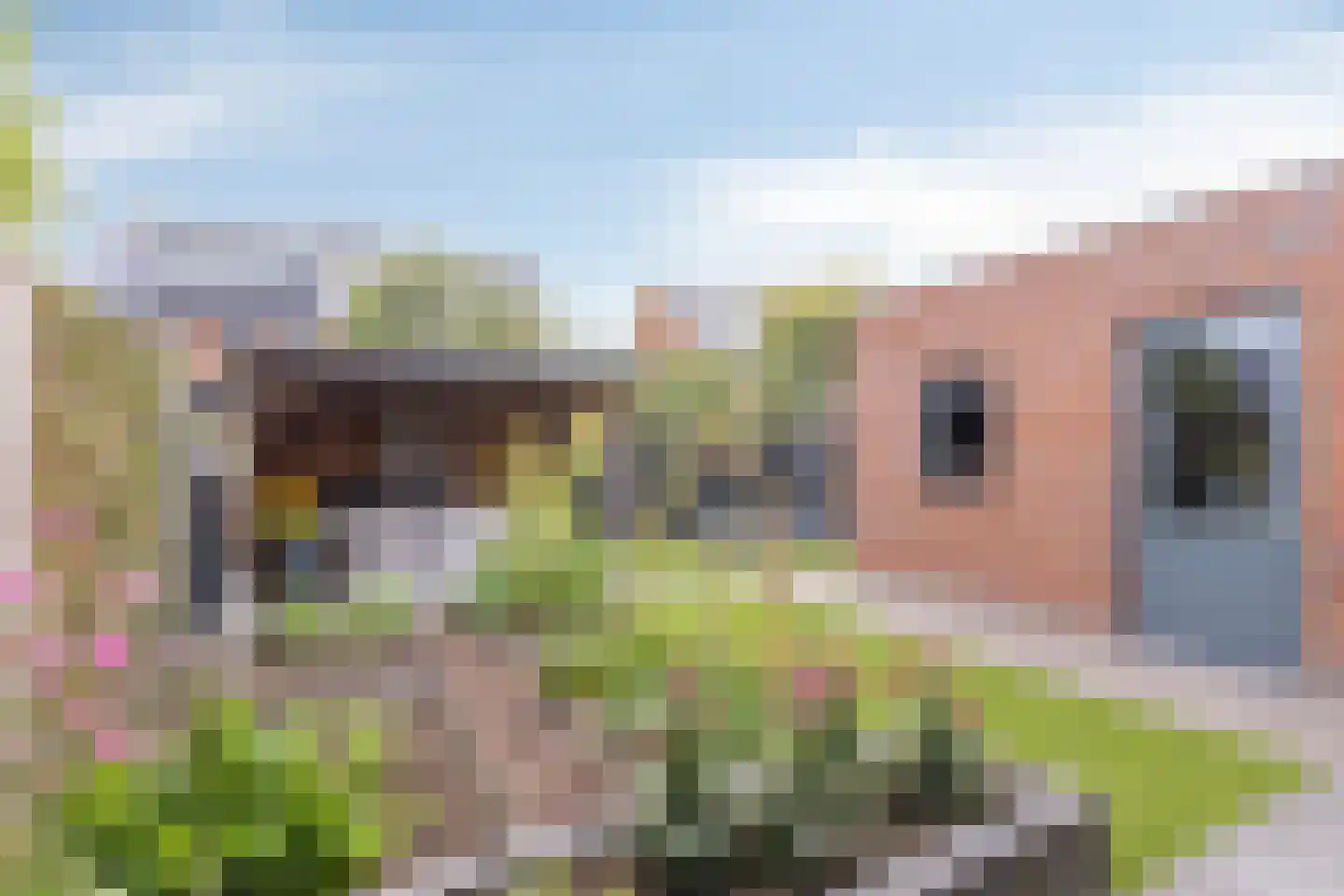 Renes 125 Scherpenzeel thumbnail 31