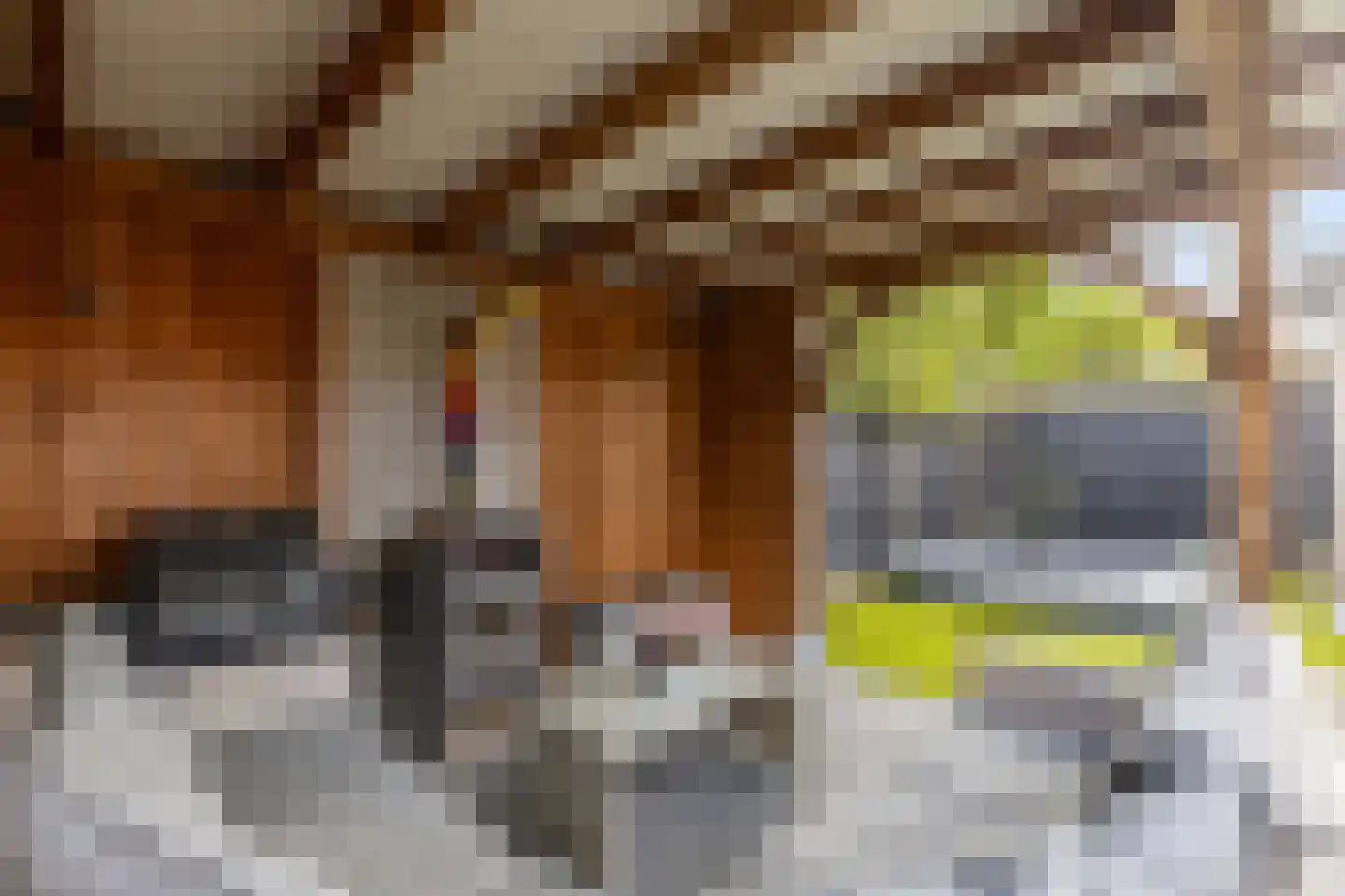 Renes 125 Scherpenzeel thumbnail 34