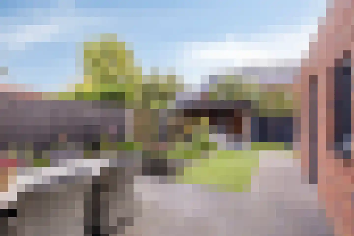 Renes 125 Scherpenzeel thumbnail 4