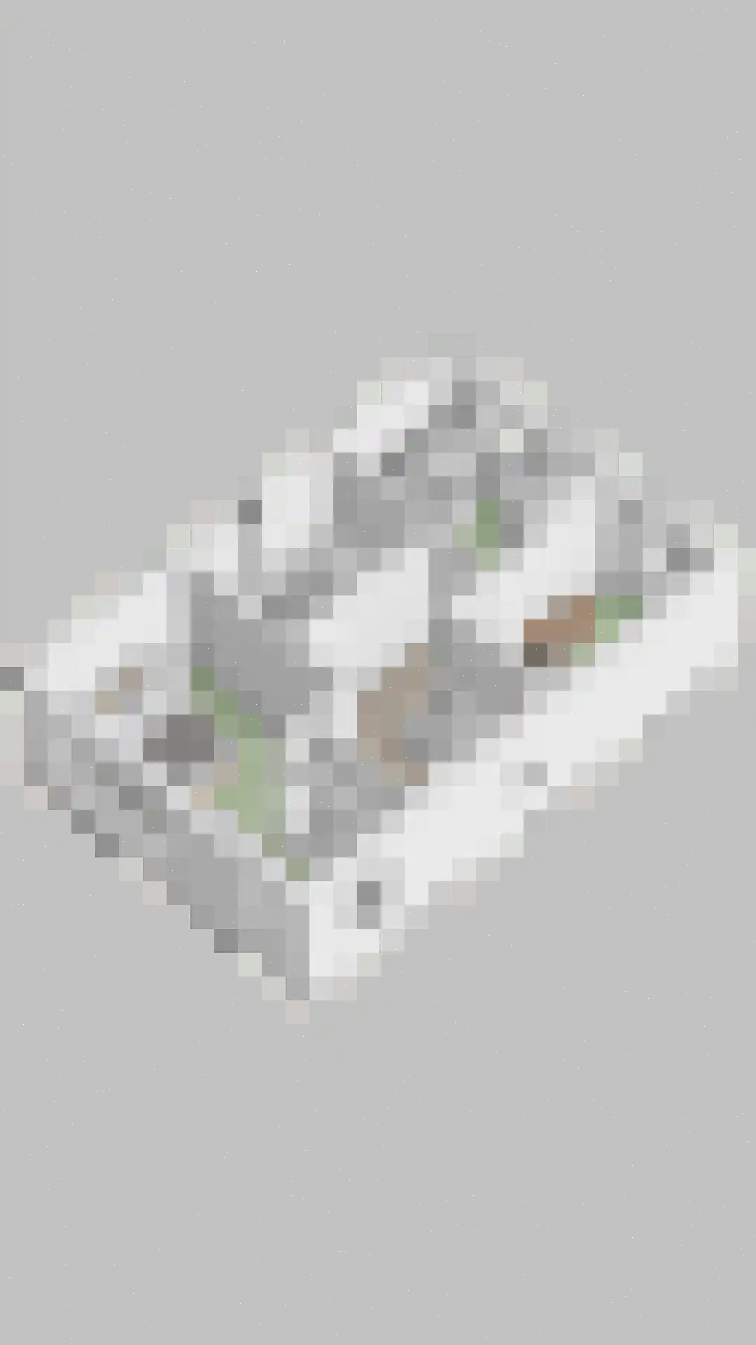 Renes 125 Scherpenzeel thumbnail 50