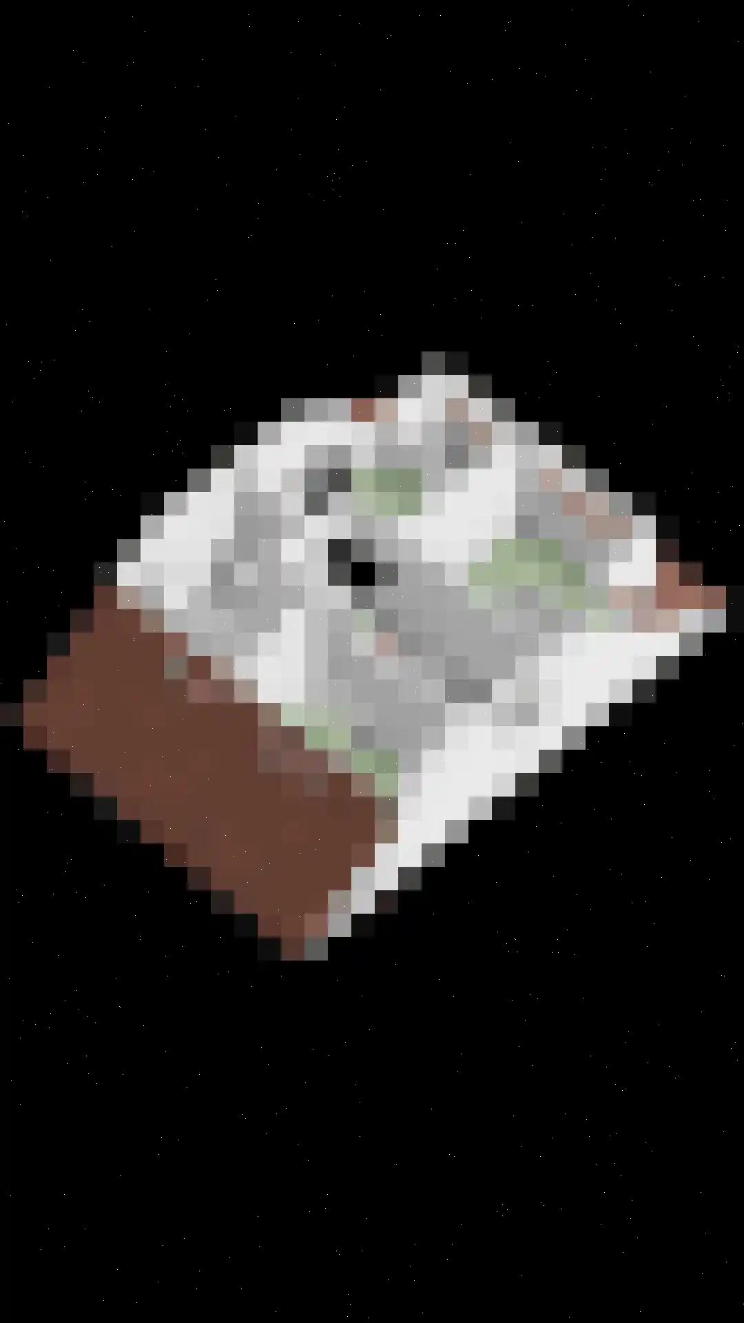 Renes 125 Scherpenzeel thumbnail 51