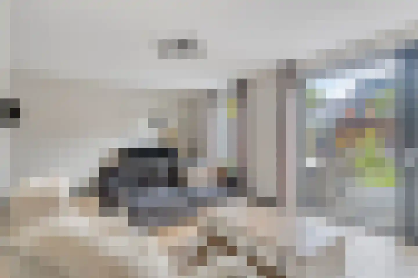 Renes 125 Scherpenzeel thumbnail 6