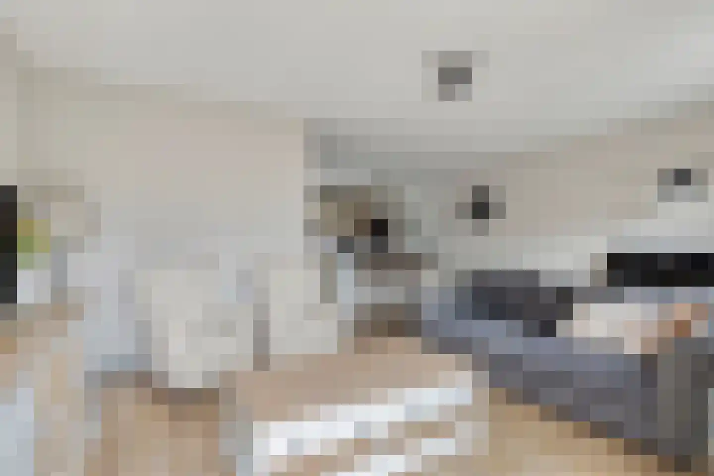 Renes 125 Scherpenzeel thumbnail 7