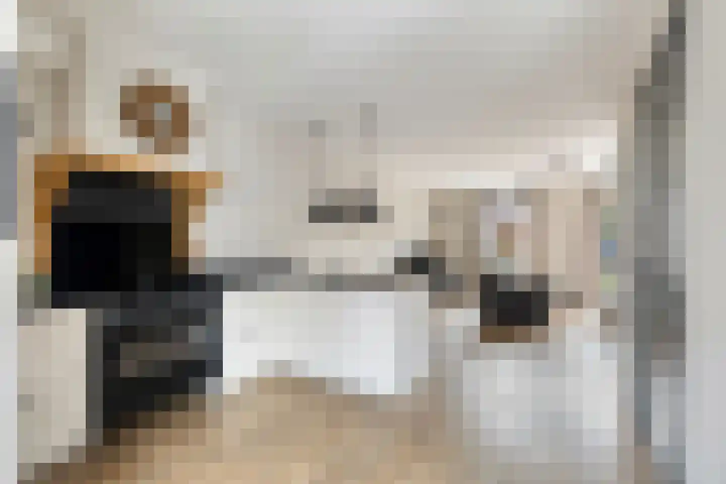 Renes 125 Scherpenzeel thumbnail 9