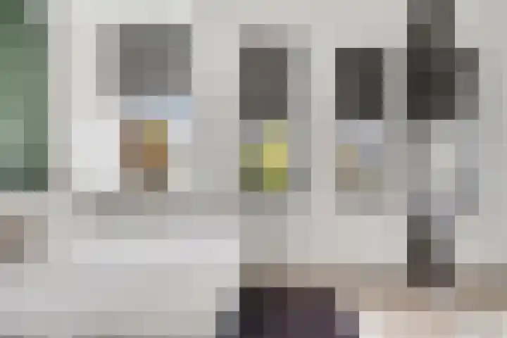 Renes 20 Scherpenzeel thumbnail 10