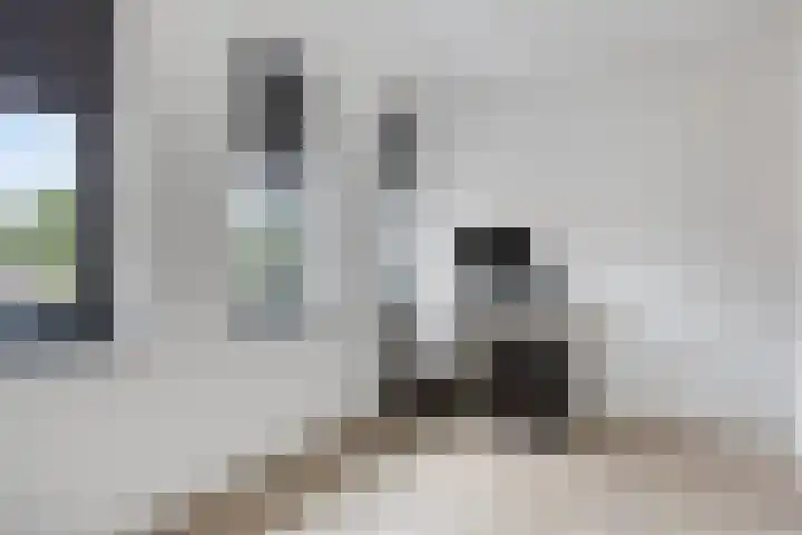 Renes 20 Scherpenzeel thumbnail 12