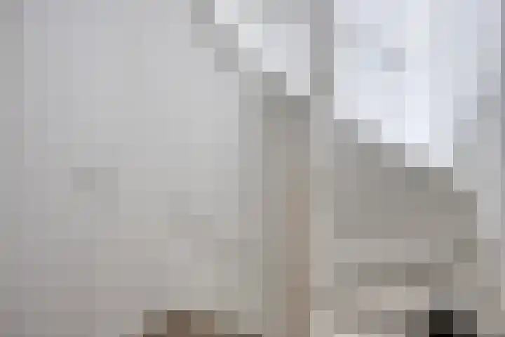Renes 20 Scherpenzeel thumbnail 13