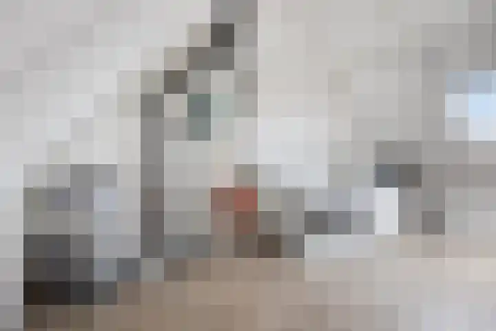 Renes 20 Scherpenzeel thumbnail 14