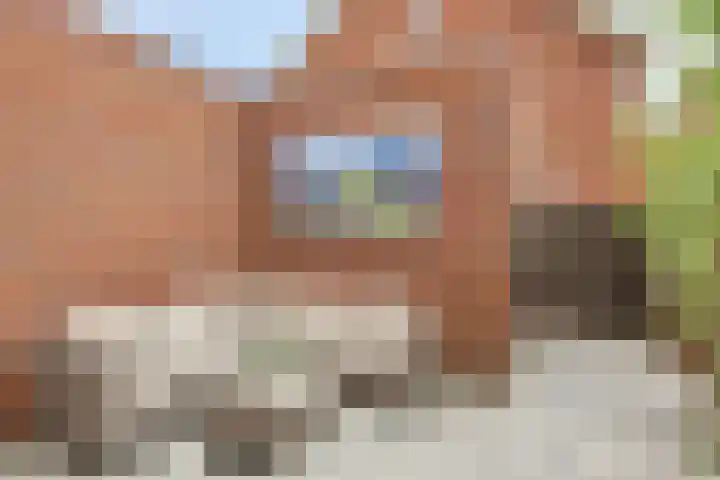 Renes 20 Scherpenzeel thumbnail 16