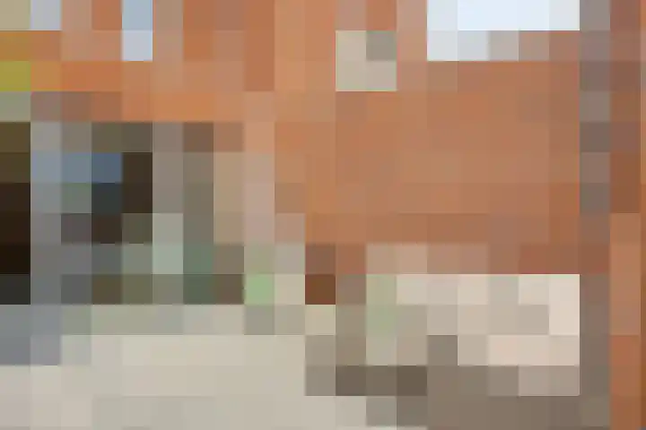 Renes 20 Scherpenzeel thumbnail 17