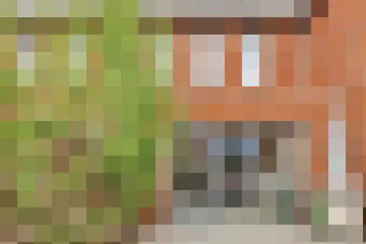 Renes 20 Scherpenzeel thumbnail 18