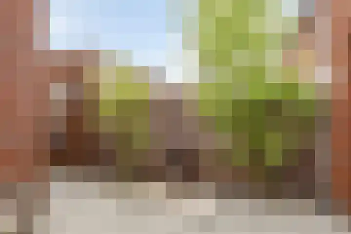 Renes 20 Scherpenzeel thumbnail 19