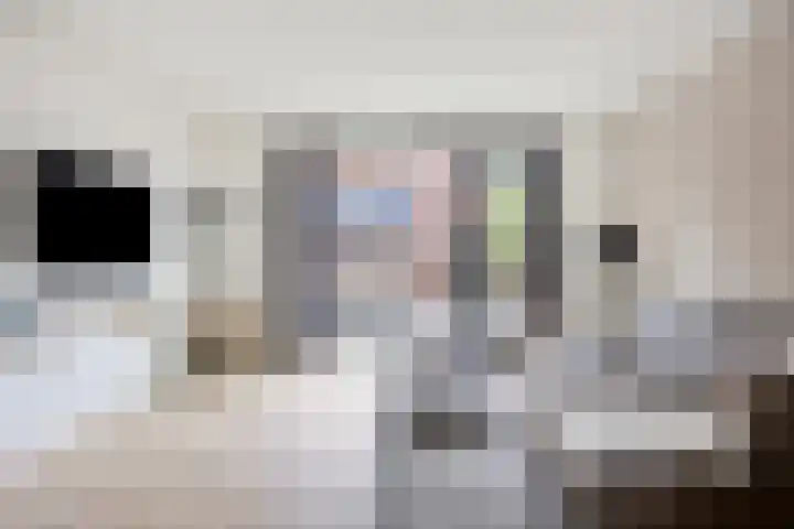 Renes 20 Scherpenzeel foto 2