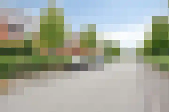 Renes 20 Scherpenzeel thumbnail 21