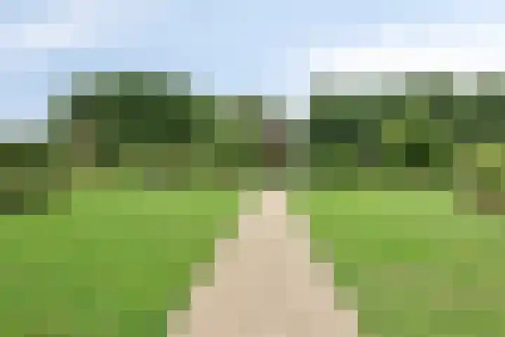 Renes 20 Scherpenzeel thumbnail 22