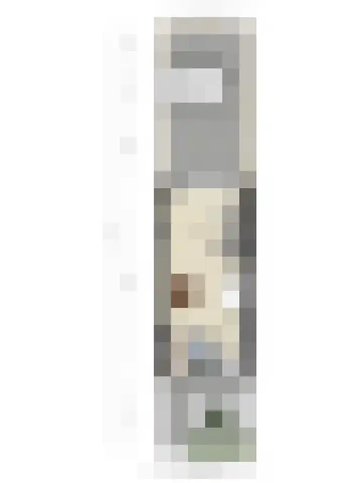 Renes 20 Scherpenzeel thumbnail 27